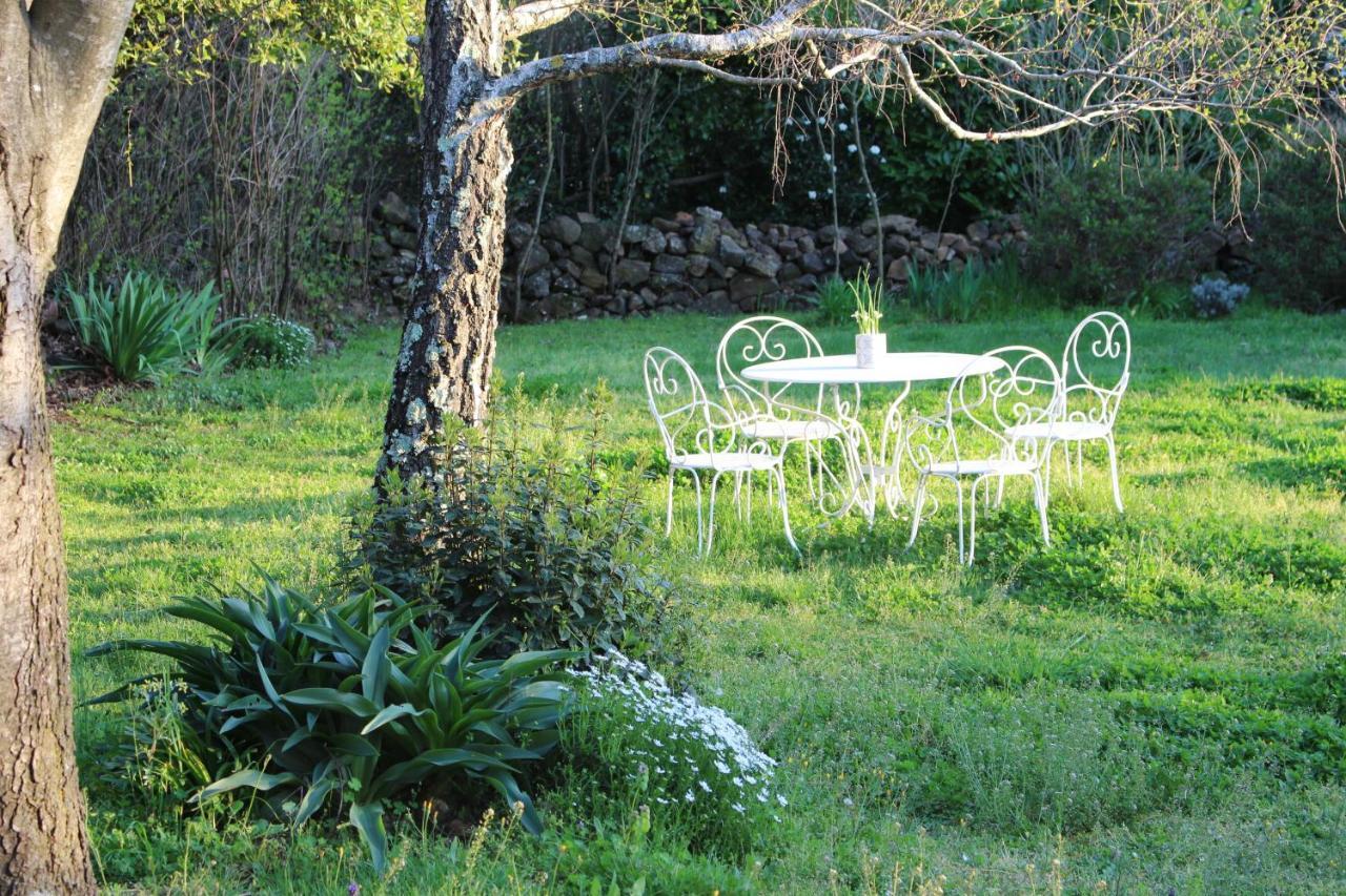 Mas Les Romarins, 10 Min D'Uzes, Piscine Et Grand Jardin Clos, Jeux, Nid De Repos Et Base Pour Activites Dans Le Gard (Adults Only) Extérieur photo