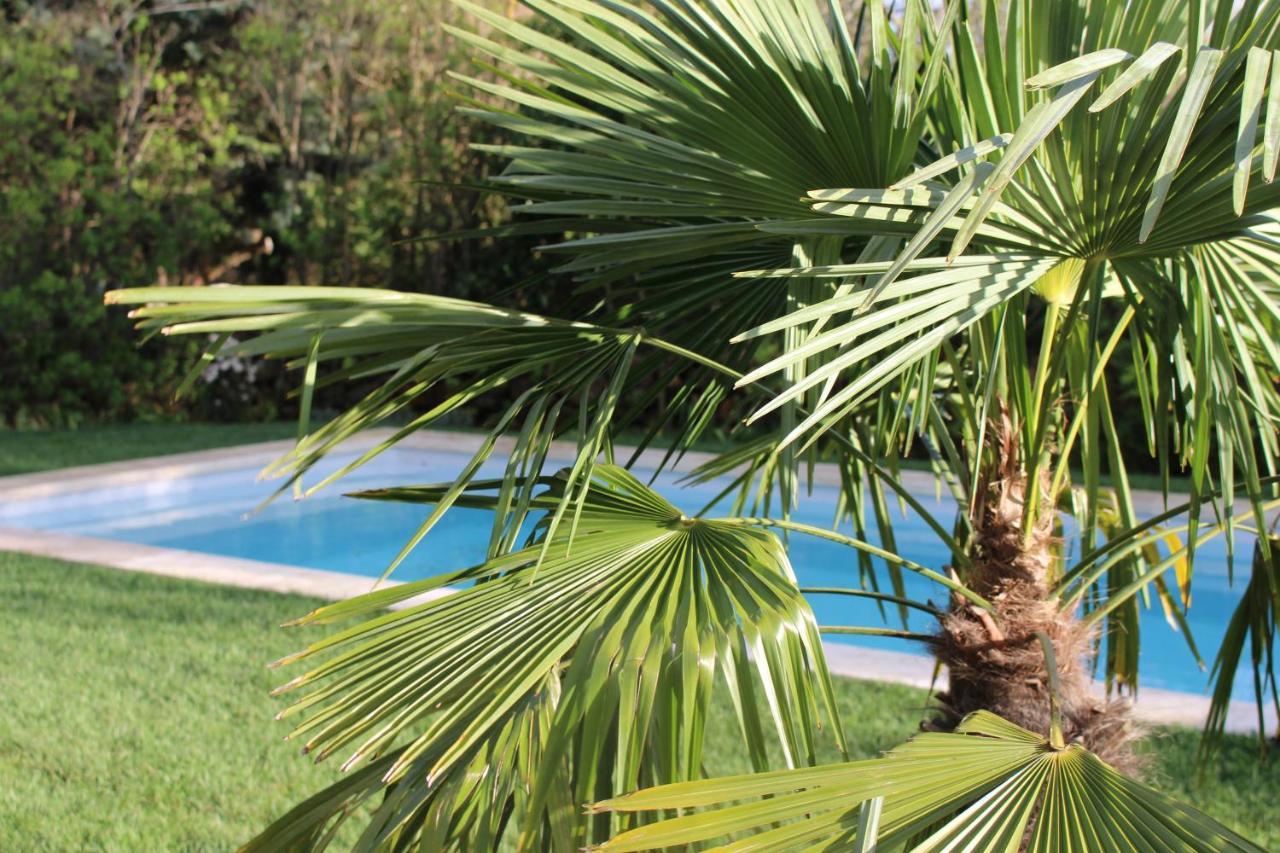 Mas Les Romarins, 10 Min D'Uzes, Piscine Et Grand Jardin Clos, Jeux, Nid De Repos Et Base Pour Activites Dans Le Gard (Adults Only) Extérieur photo